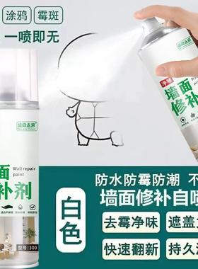 秦汉唐明商贸墙面修补漆净味翻新自喷漆白色腻子膏防水防霉喷a99