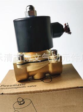 2W-200-20常温疏水电磁阀 DN20铜体管道阀 PT3/4螺纹