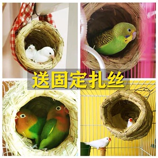 草编鸟窝珍珠玄凤虎皮牡丹鹦鹉用品鸟具挂窝小鸟窝鸟巢草窝繁殖箱