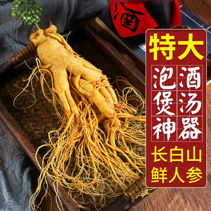 长白山新鲜人参鹿茸泡酒专用煲汤养生保鲜参整枝东北特大野山参