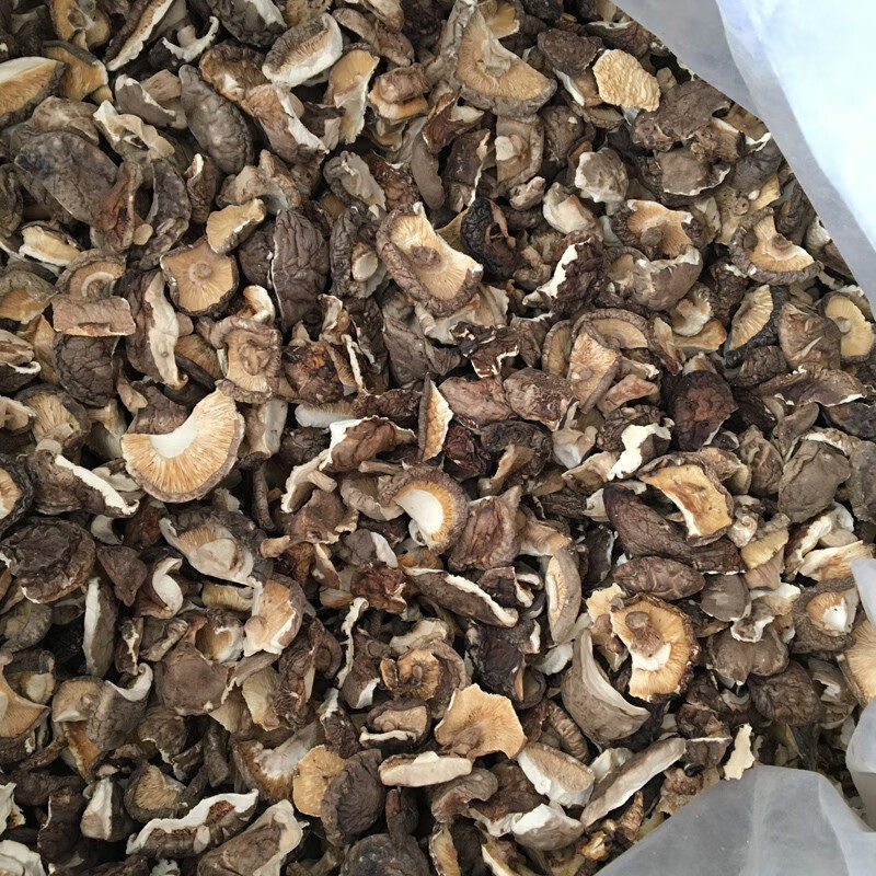 碎冬菇2500g小香菇营养菌菇蘑菇干香菇碎片煲汤食材散装饺子馅