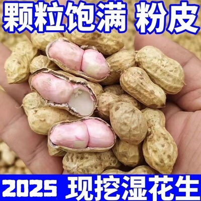 25年新鲜湿花生带壳花生