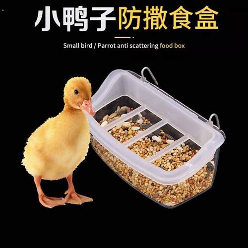 柯尔鸭防溅喂食器鹦鹉喂水器小号悬挂笼子式鸟类食槽防撒可清洗