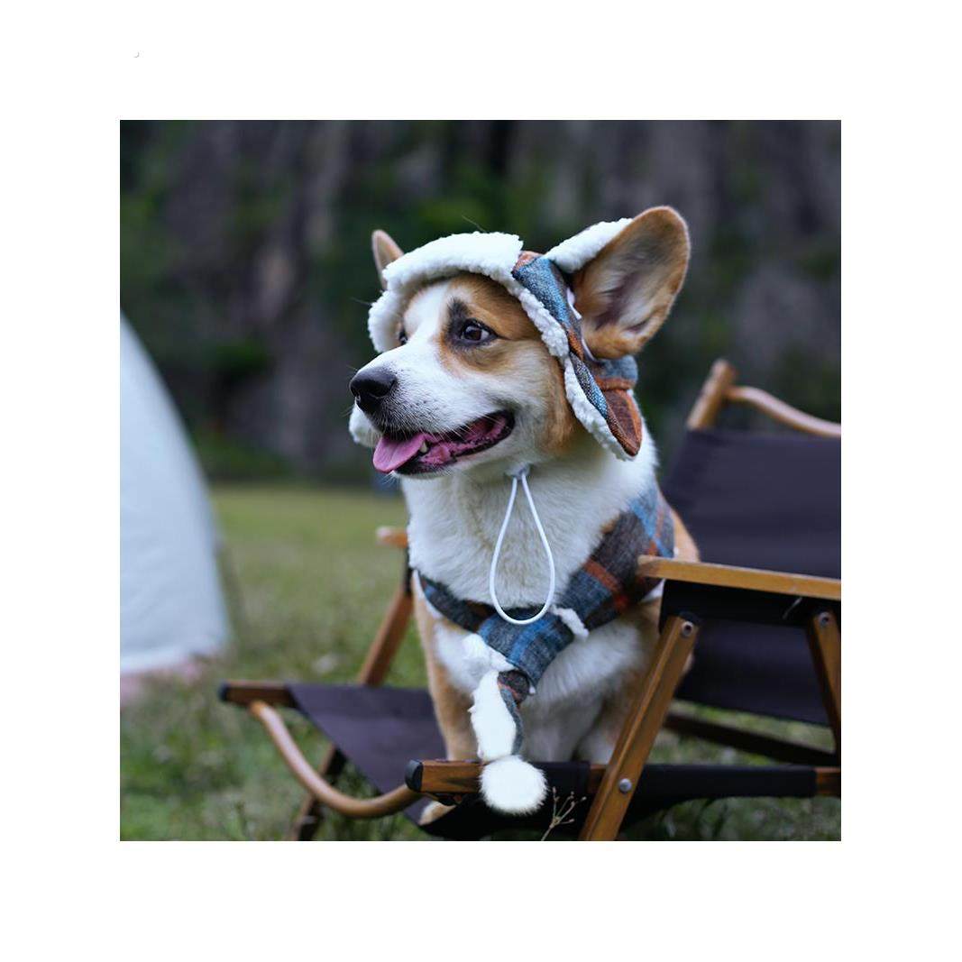 宠物狗飞行员帽秋冬羊毛衬里加厚暖格雷锋帽围巾照片柯基