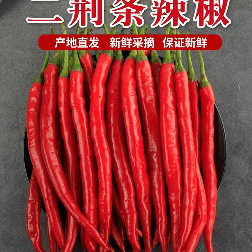 新鲜线椒剁椒红辣椒辣椒酱