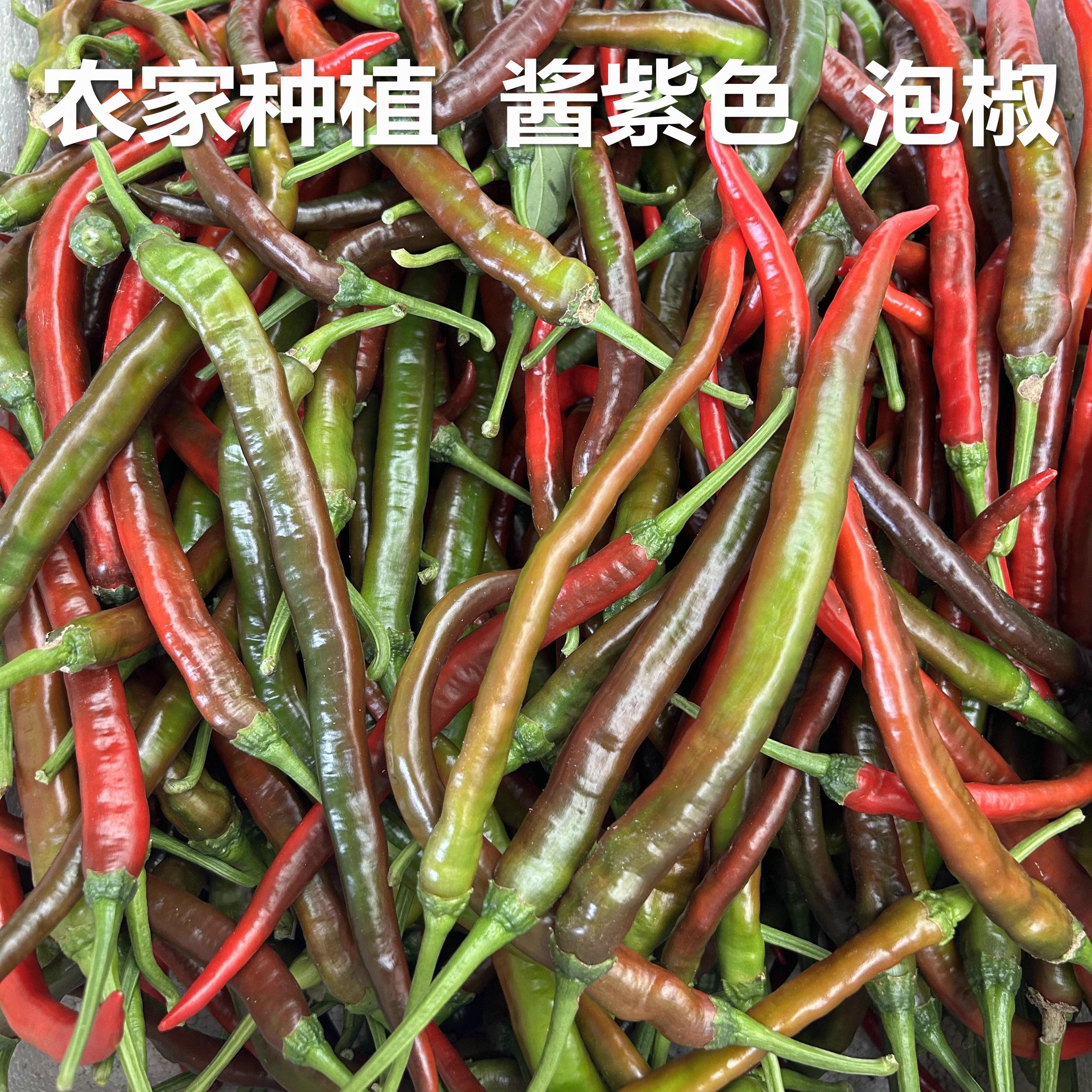 新鲜采摘红辣椒剁椒辣椒酱