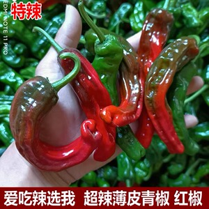 新鲜蔬菜薄皮椒螺丝超辣
