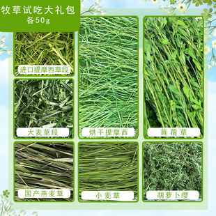 小宠牧草小规格试吃苜蓿草提摩西果树草燕麦草黑麦草每种牧草50g