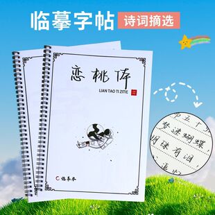 恋桃体字帖网红经典女生字体漂亮大气玫瑰高中生练大学摘抄语录书