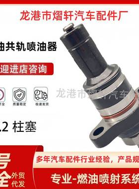 F019D03313高压共轨油泵柱塞2.2电喷适用全新潍柴柴油喷油泵