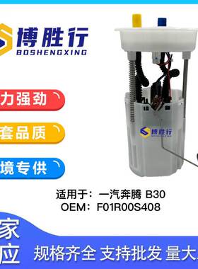 适用于奔腾B30燃油泵总成泵芯FAW-LFC1811060 F01R00S408