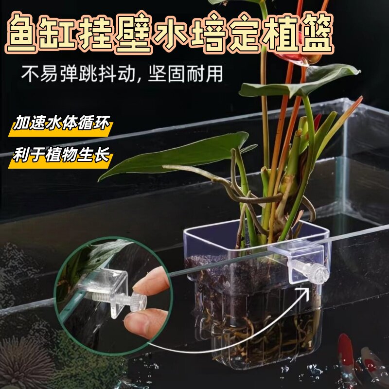 新款镂空壁挂式透明水培水培篮加厚绿植鱼缸家用定植养护鱼缸摆件