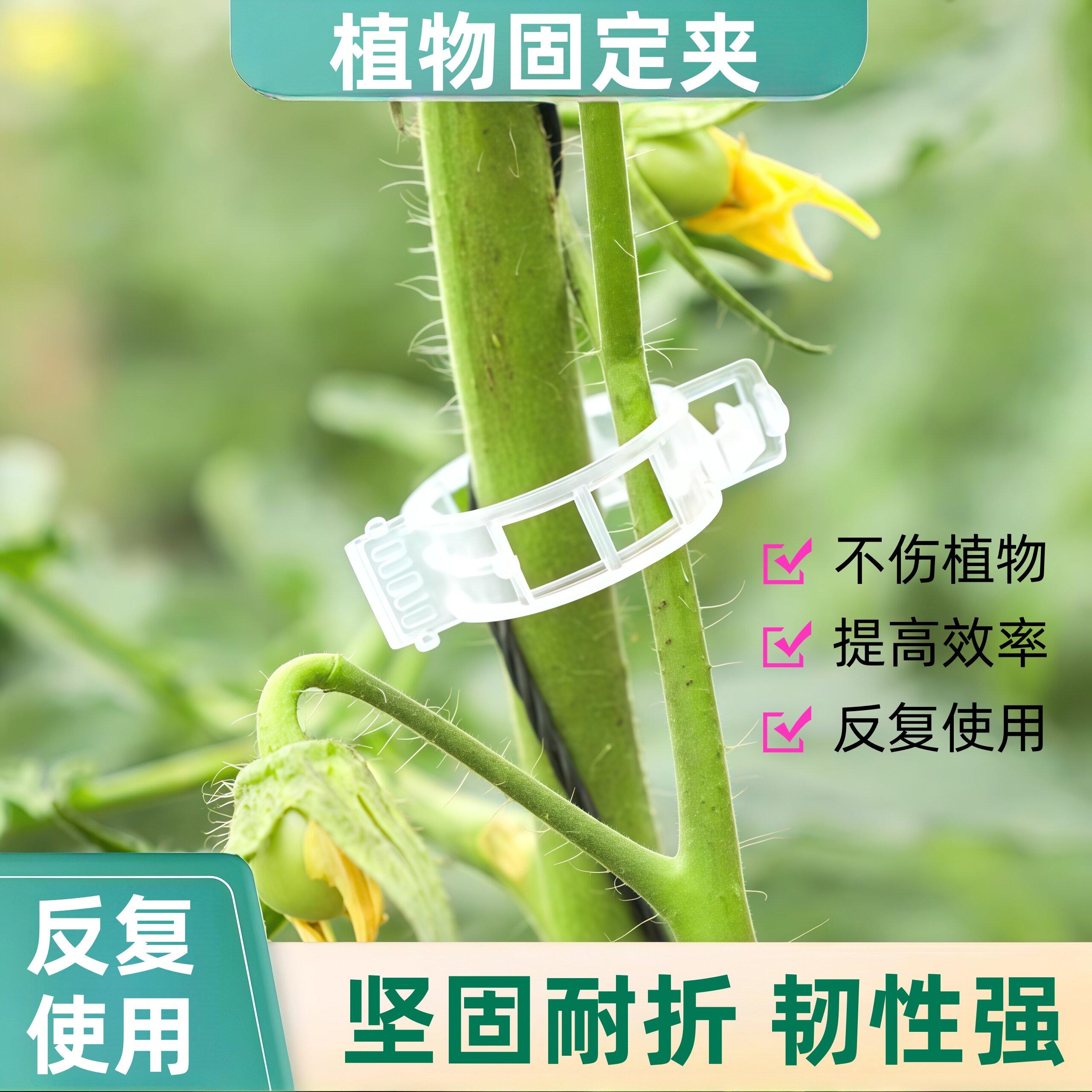 黄瓜西红柿豆角爬藤枝条固定器绿植物蔬菜捆绑扎带藤蔓专用吊秧夹