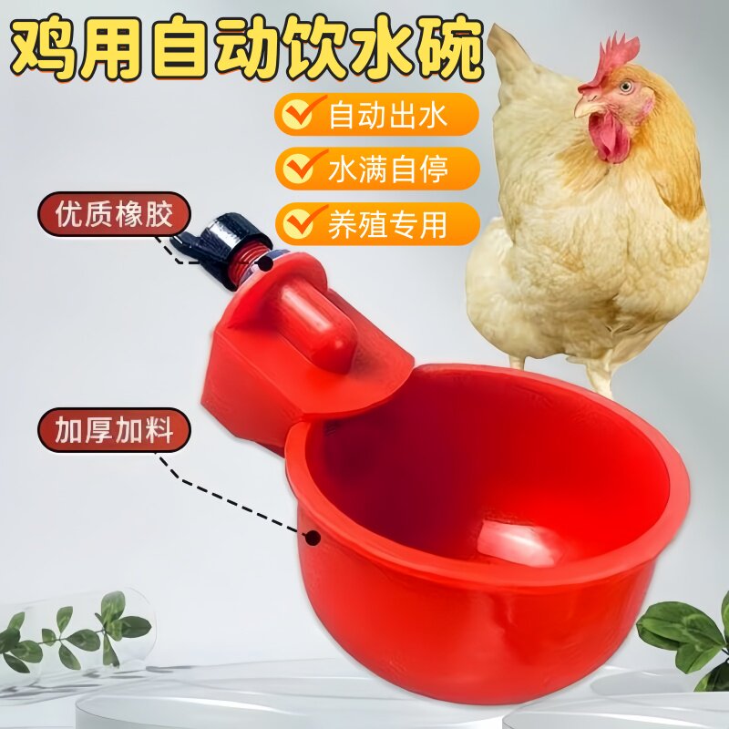 鸡用饮水碗家禽自动饮水器雏鸡喝水碗鸽子鹌鹑加厚喂水碗养殖设备