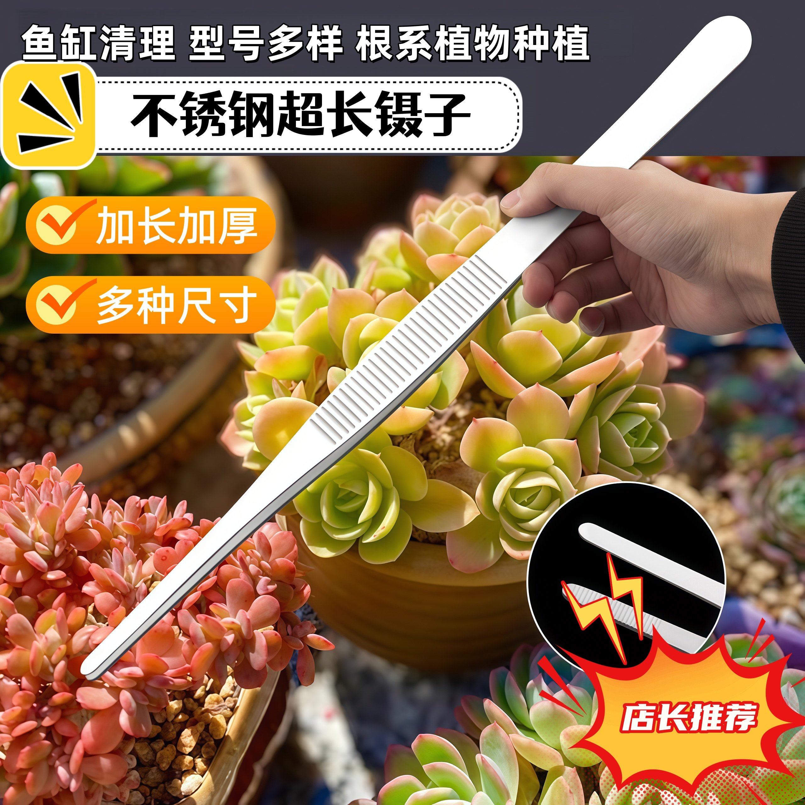 多肉镊子不锈钢夹子加长加厚直头弯头鱼缸水草昆虫敷料工具维修夹