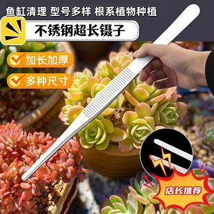 多肉镊子不锈钢夹子加长加厚直头弯头鱼缸水草昆虫敷料工具维修夹
