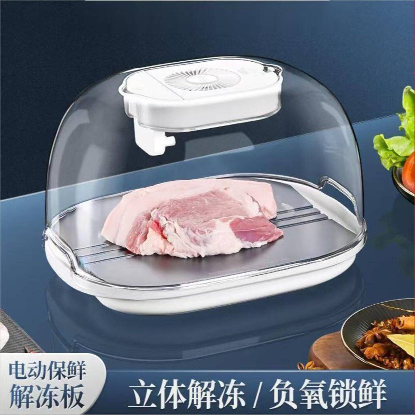 黑科技解冻器蓉迩德厨具厂快速化冻肉机四合一电动保鲜板a2
