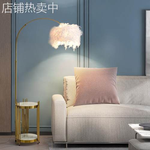 北欧创意羽毛落地灯客厅卧室后现代展厅床头置物架钓鱼立式落地灯