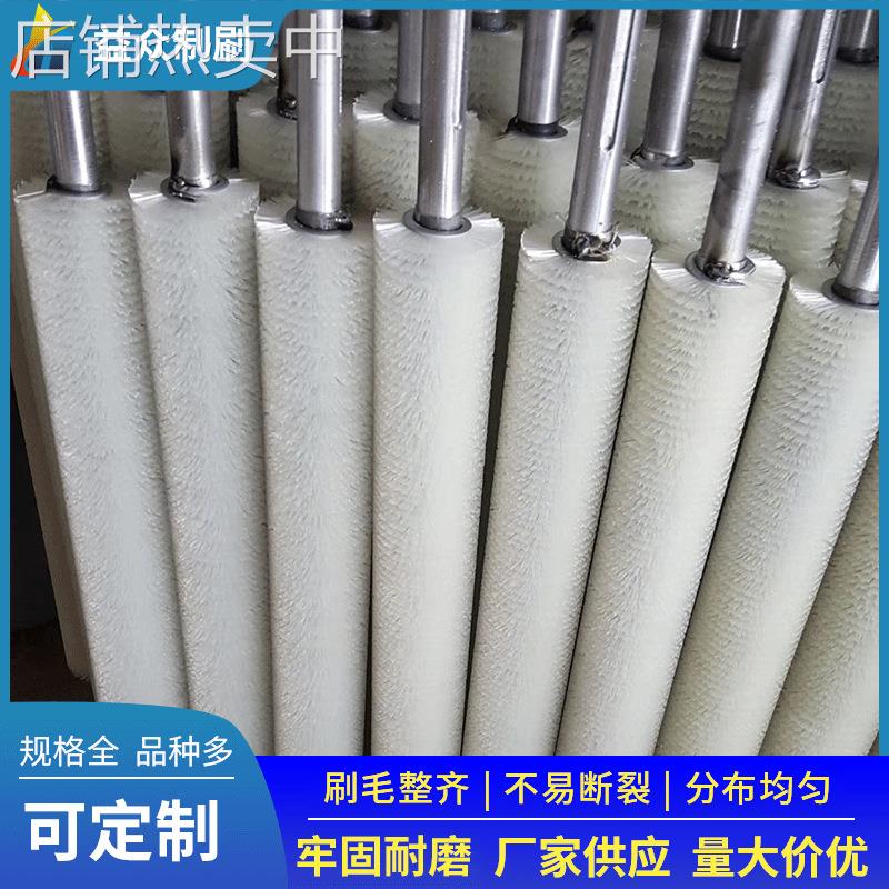 厂家出售多种毛刷辊 工业滚筒刷清洗抛光除尘毛刷辊机械用毛刷