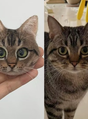 羊毛毡宠物定制猫咪挂件