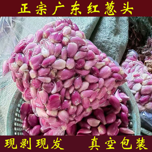 正宗广东红葱头去皮剥皮干葱头