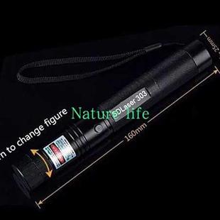 SD303 Green Laser Pointer Adjustable Burning Laser Pen 532nm