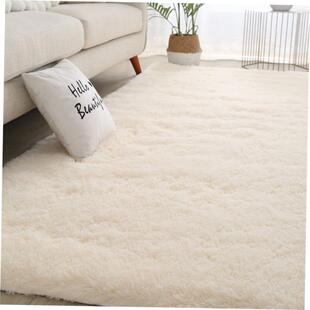 carpet living room rugs bedroom floor carpets mat rug home