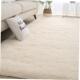 home rugs living carpet carpets room floor rug bedroom mat
