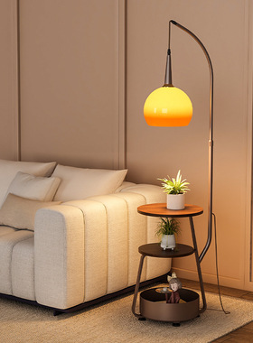 Floor lamp, living room sofa, coffee table, fishing light