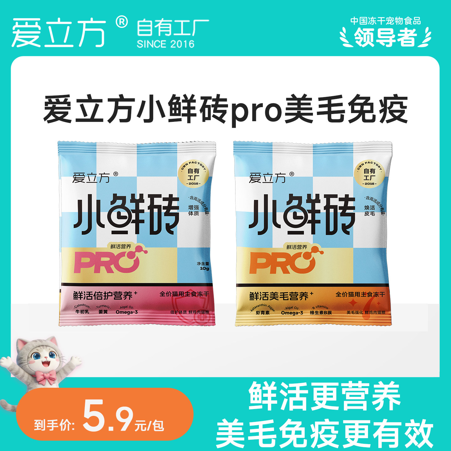 爱立方小鲜砖pro主食免疫美毛图片