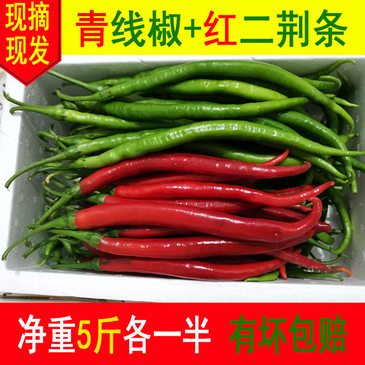 青红线椒农家自种蔬菜鲜辣椒5斤