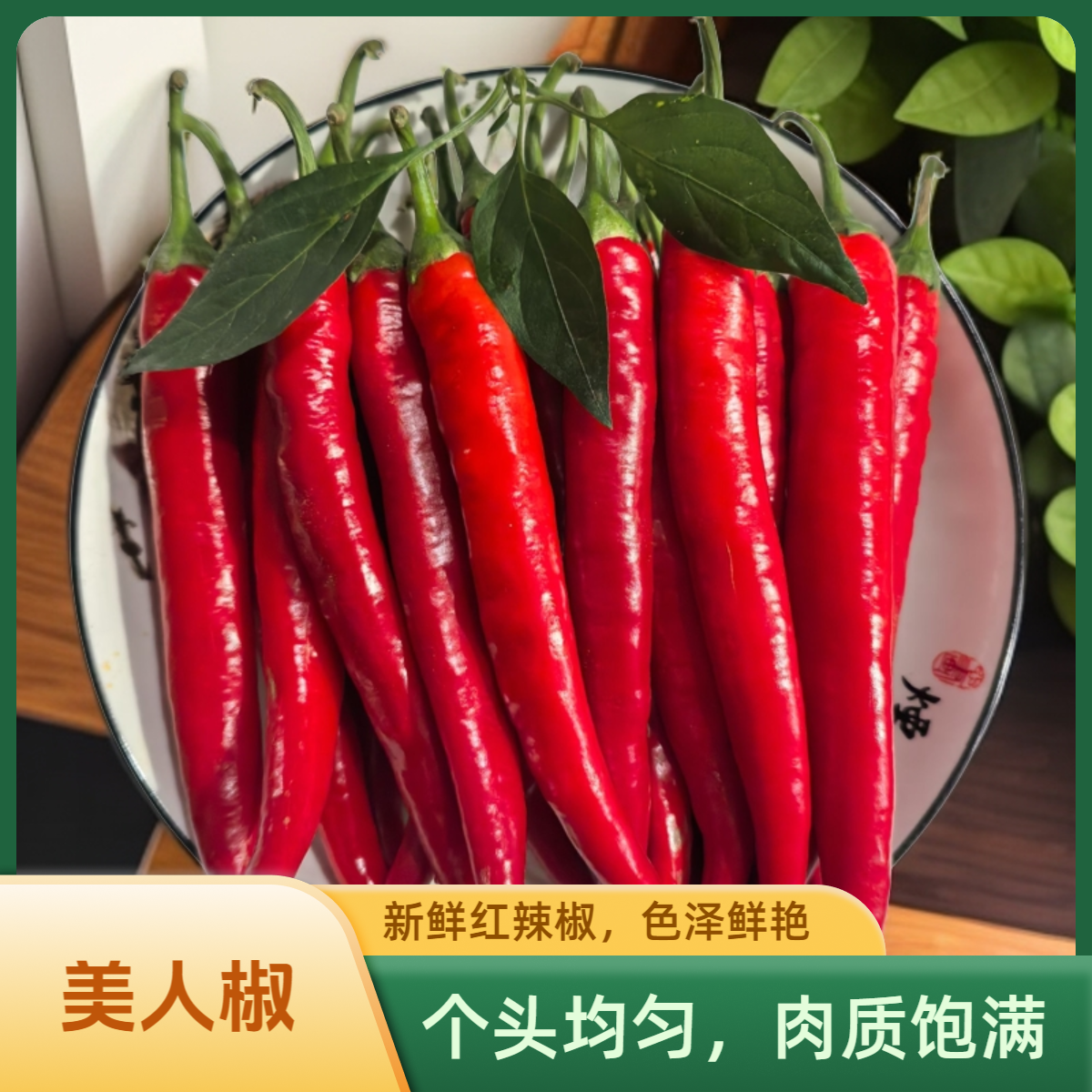 农家自种新鲜红辣椒美人椒杭椒微辣小尖椒剁椒辣椒酱海花红现摘