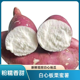 安徽农家老品种正宗白心板栗薯红薯地瓜新鲜白瓤白芯山芋干面番薯