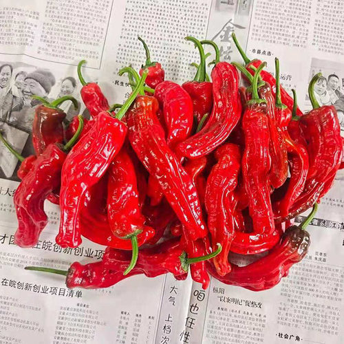 农家自种山东枣庄现摘新鲜蔬菜