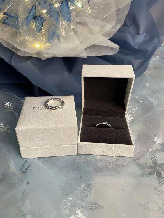 fanci范琦戒指项链收纳首饰礼品收纳盒有loog图标 送女友闺蜜情人