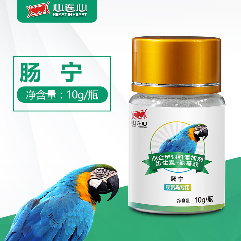 心连心鹦鹉肠道水便绿便肠炸毛图片