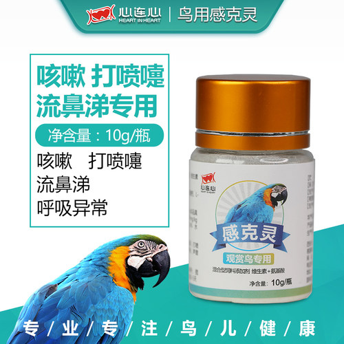 鹦鹉流鼻涕打喷嚏心连心鸟感冒