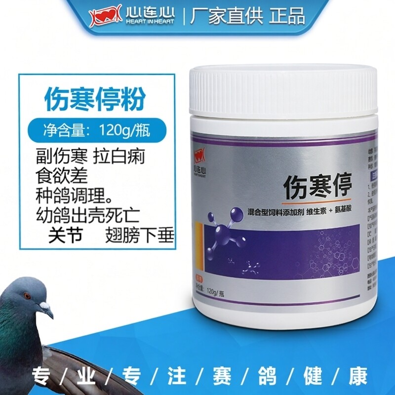 心连心伤寒停鸽药调理副伤寒