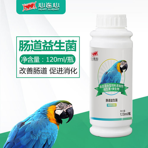 心连心鹦鹉益生菌120ml助消化