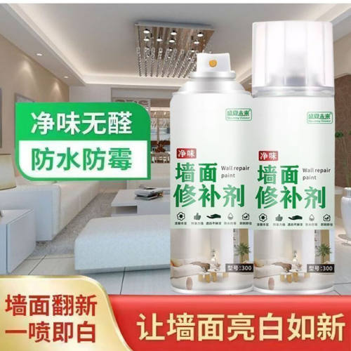 盛夏未来墙面修补剂鸿景百货净味防水防霉乳胶漆内外墙翻新自a86