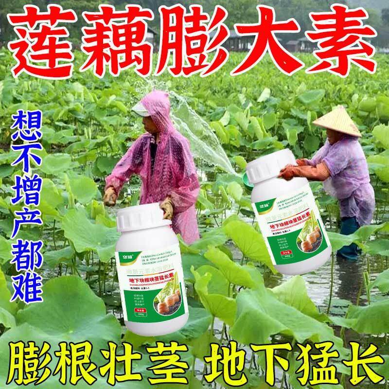 莲藕专用膨大悬浮肥增白增甜