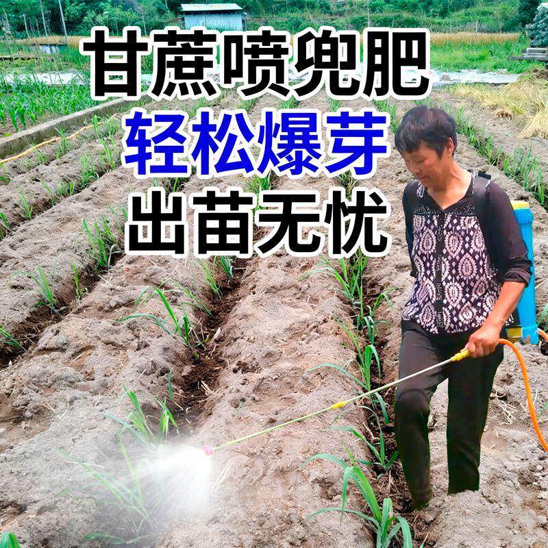 甘蔗喷兜爆芽生根壮苗增产剂
