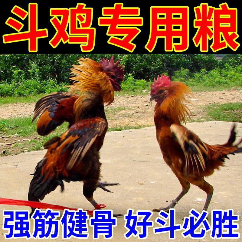 斗鸡专用饲料增肌抗好斗补红