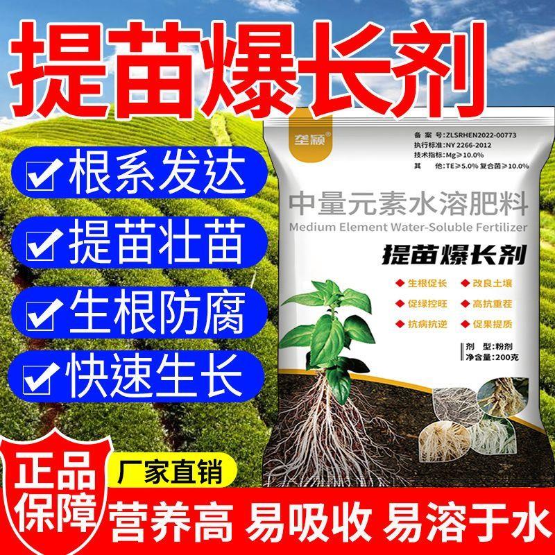 提苗壮苗速生根中微量叶面肥