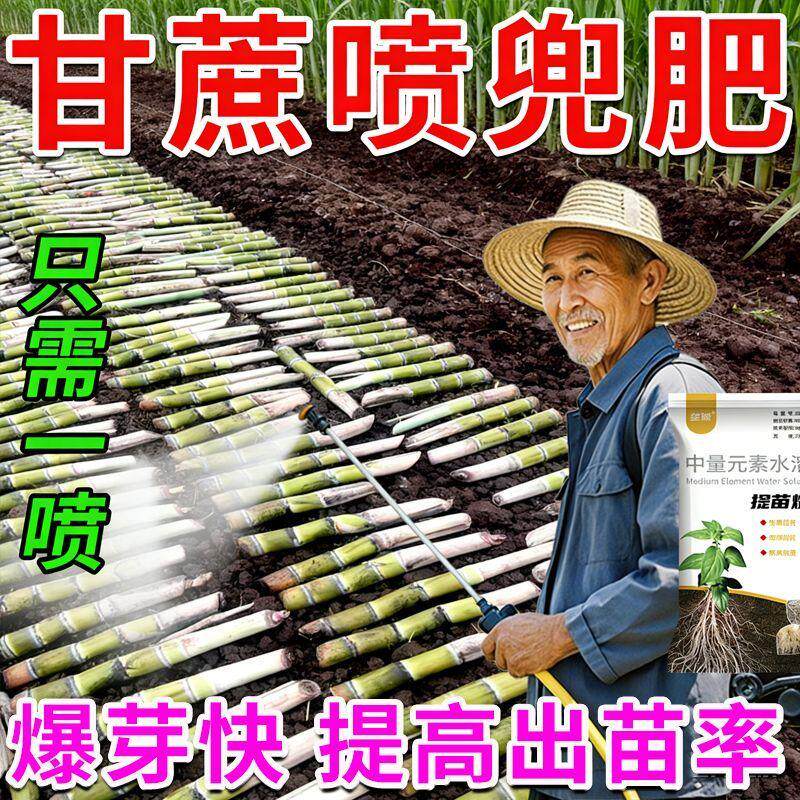 甘蔗喷兜爆芽生根壮苗增产剂