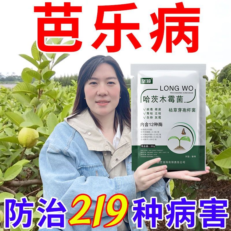 芭乐果番石榴专用杀菌剂病