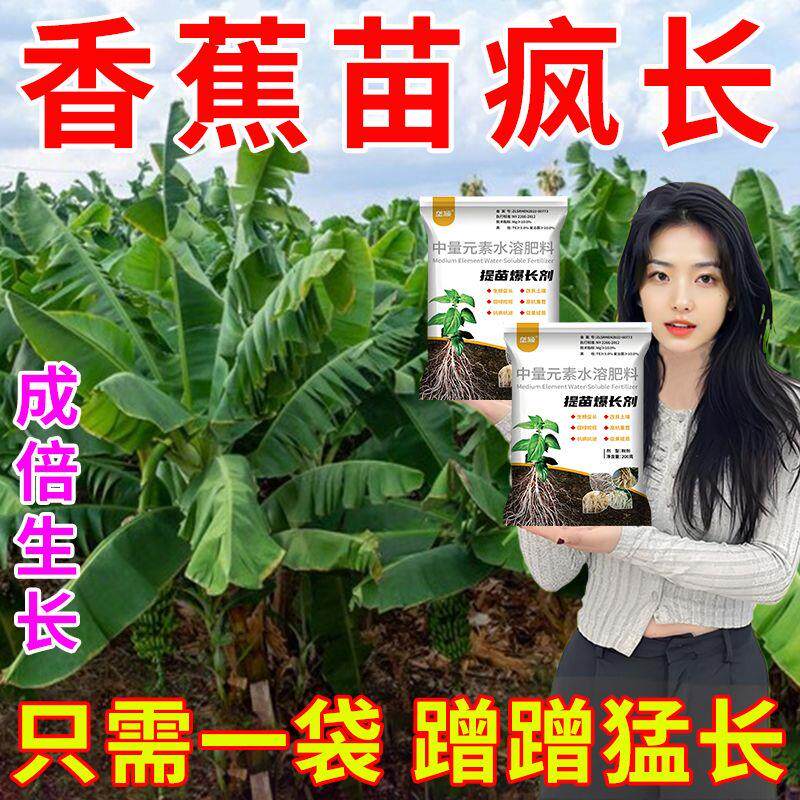 香蕉树提苗爆长剂壮苗猛长快速增长催长生根快根系粗壮通用水溶肥