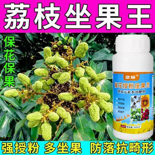 荔枝专用座果灵荔枝树授粉催花保花素防落果荔枝控梢不控果促控剂