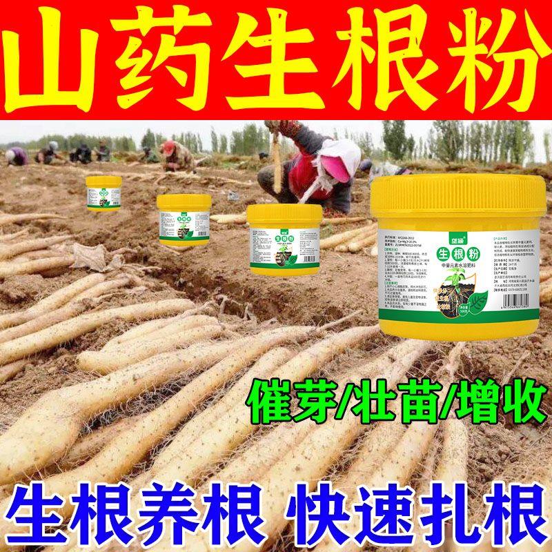 山药专用生根粉强力生根促壮苗