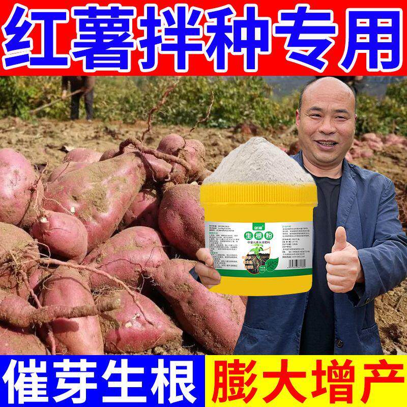 红薯拌种剂专用催芽生根壮苗防根腐抗病害提质增产通用生根剂肥料